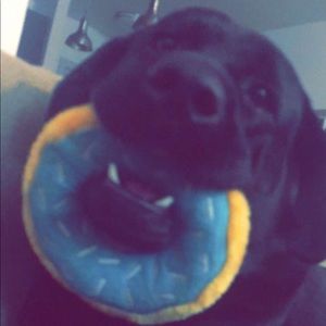 Meet your Posher, Ekeoma